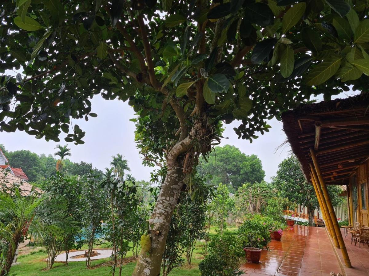 Byve Garden Villa Hanoi Eksteriør billede
