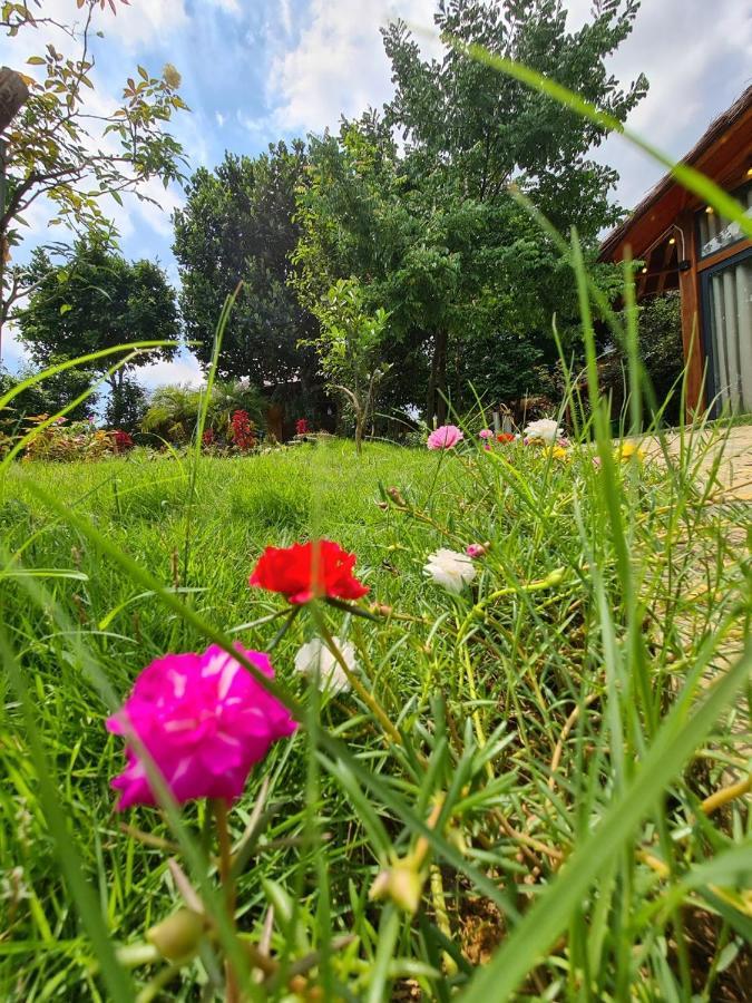 Byve Garden Villa Hanoi Eksteriør billede